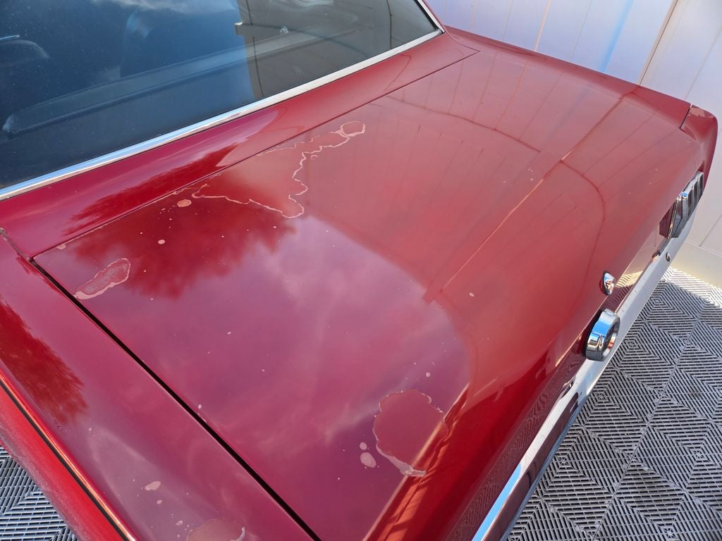 1965 Ford Mustang Base