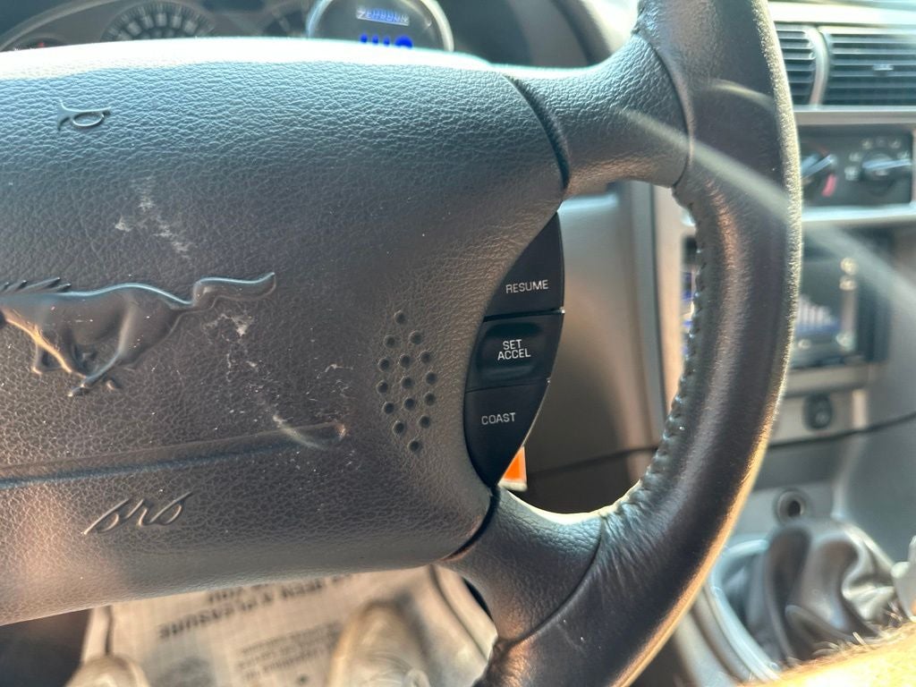 2004 Ford Mustang Mach 1 Premium