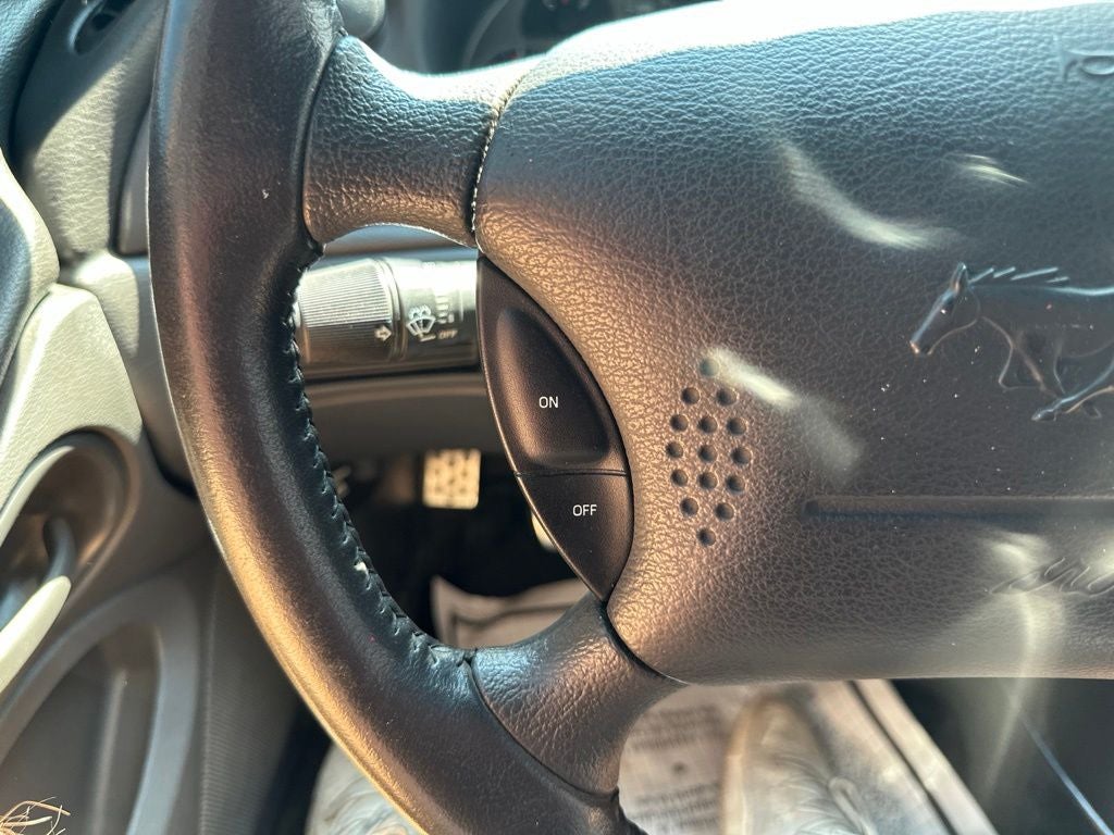 2004 Ford Mustang Mach 1 Premium