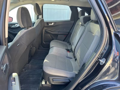 2021 Ford Escape Hybrid SE