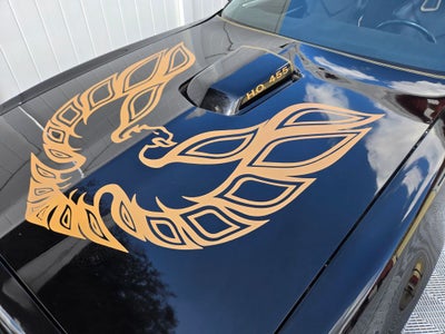 1981 Pontiac Firebird Formula