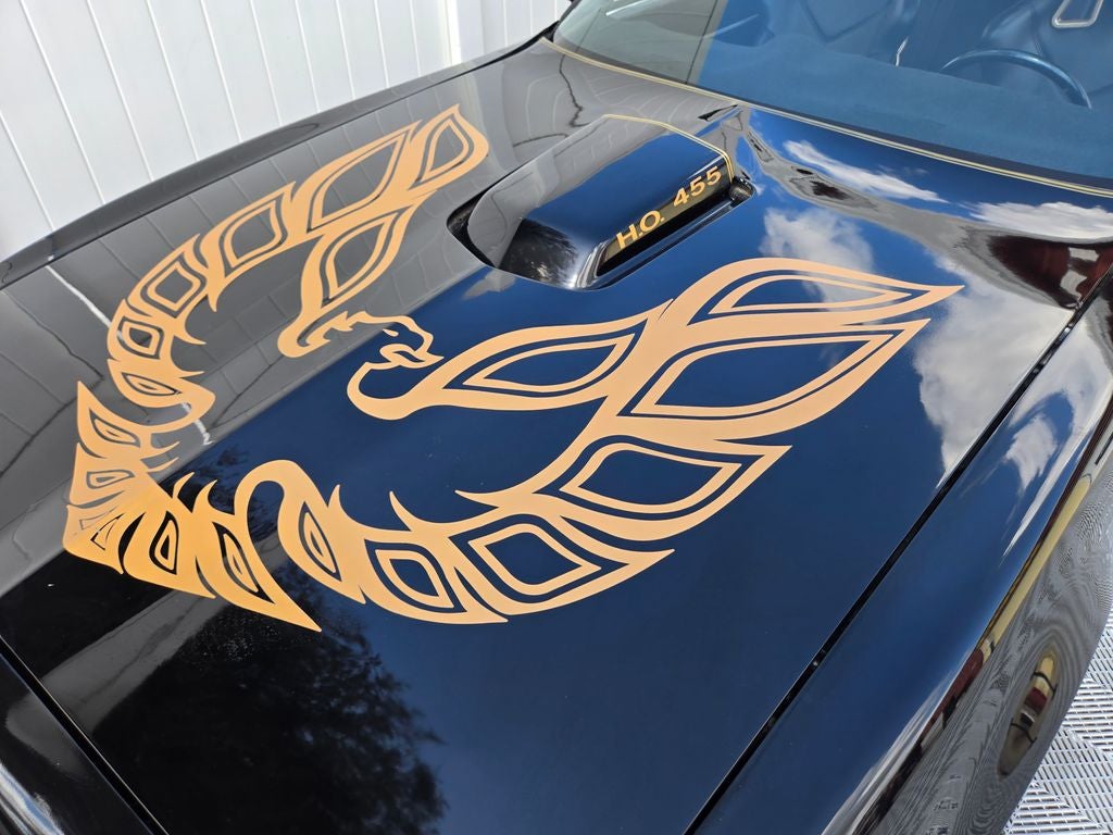 1981 Pontiac Firebird Formula