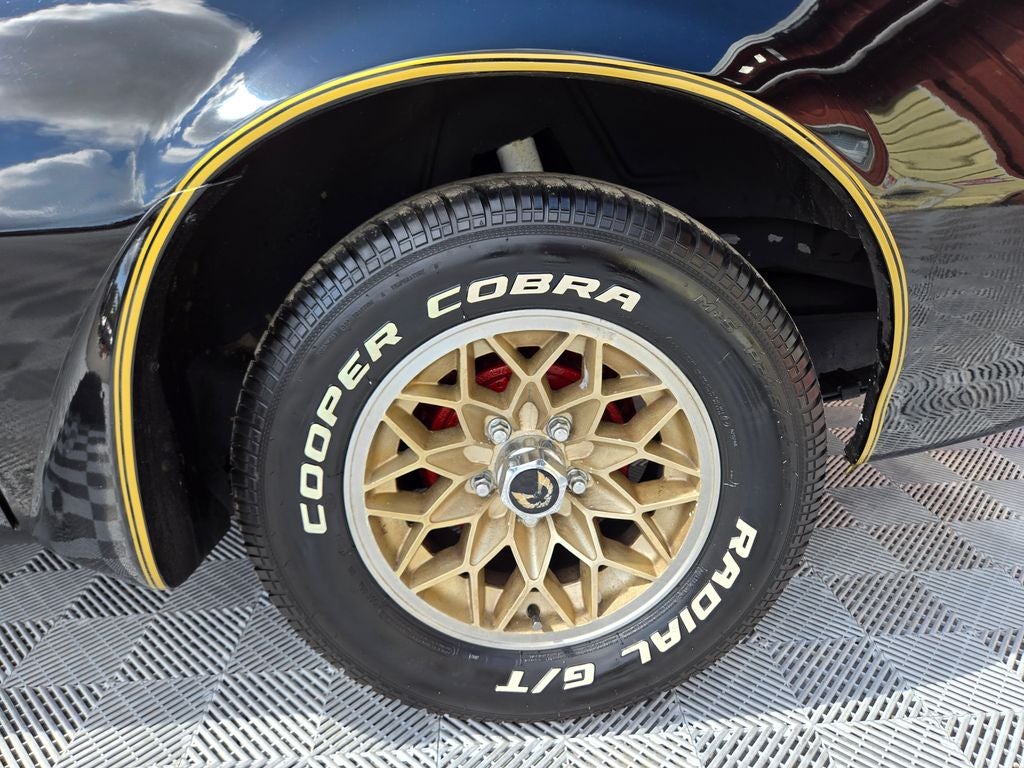 1981 Pontiac Firebird Formula