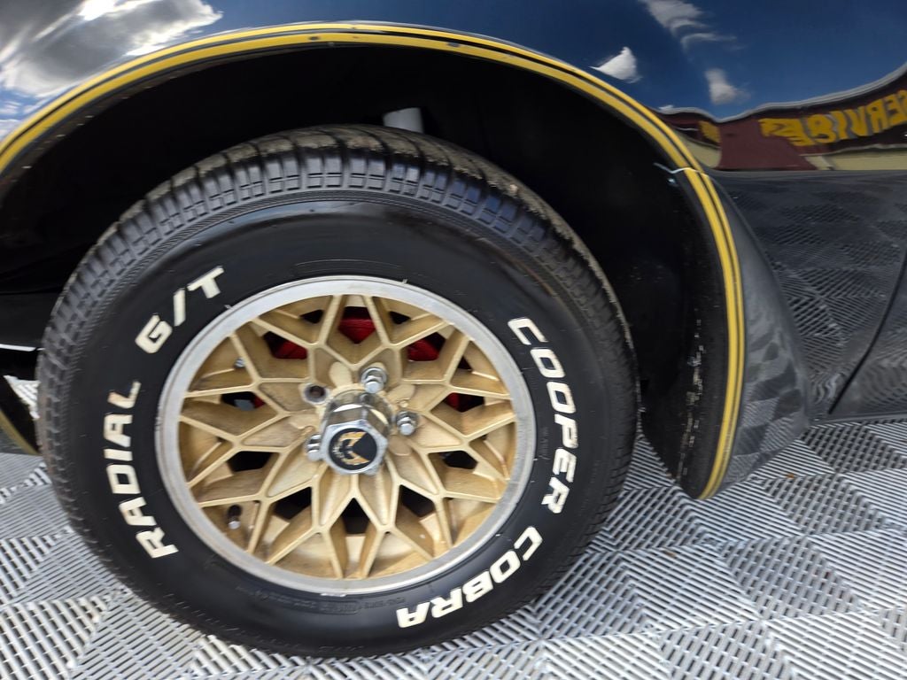 1981 Pontiac Firebird Formula