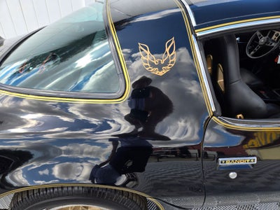 1981 Pontiac Firebird Formula