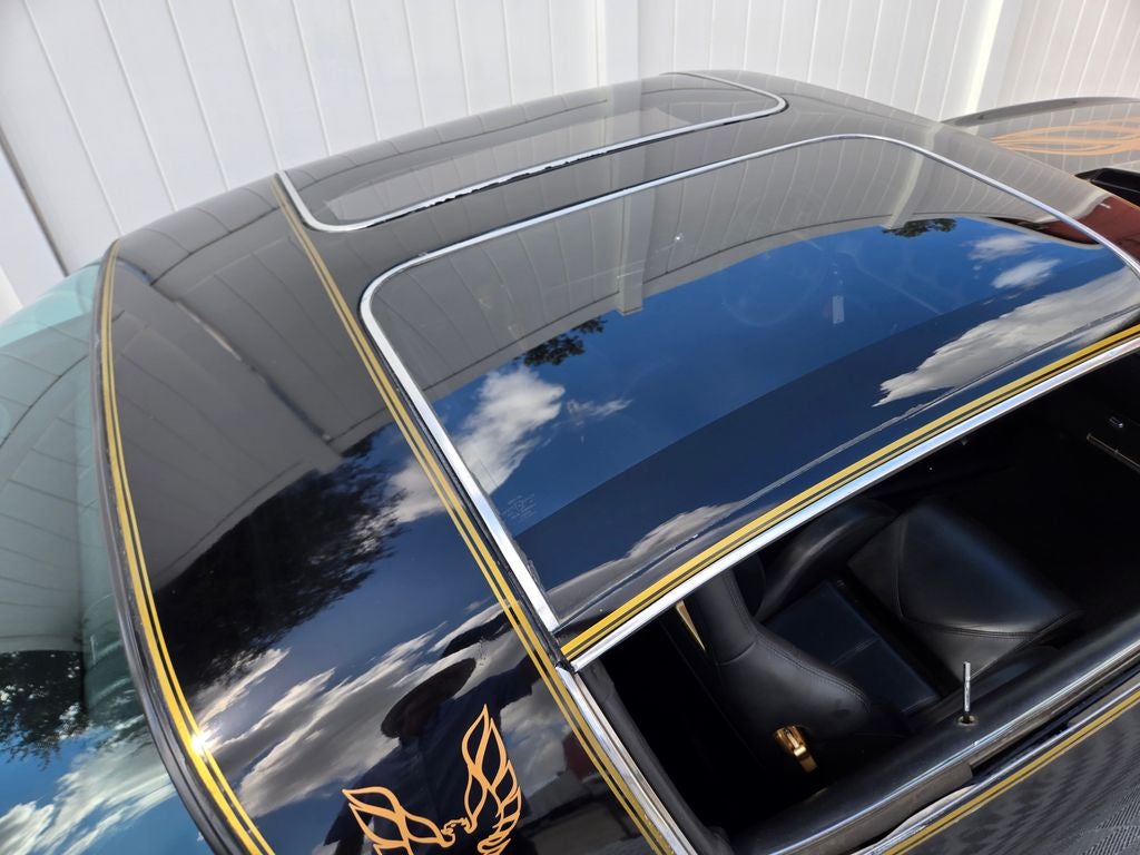 1981 Pontiac Firebird Formula