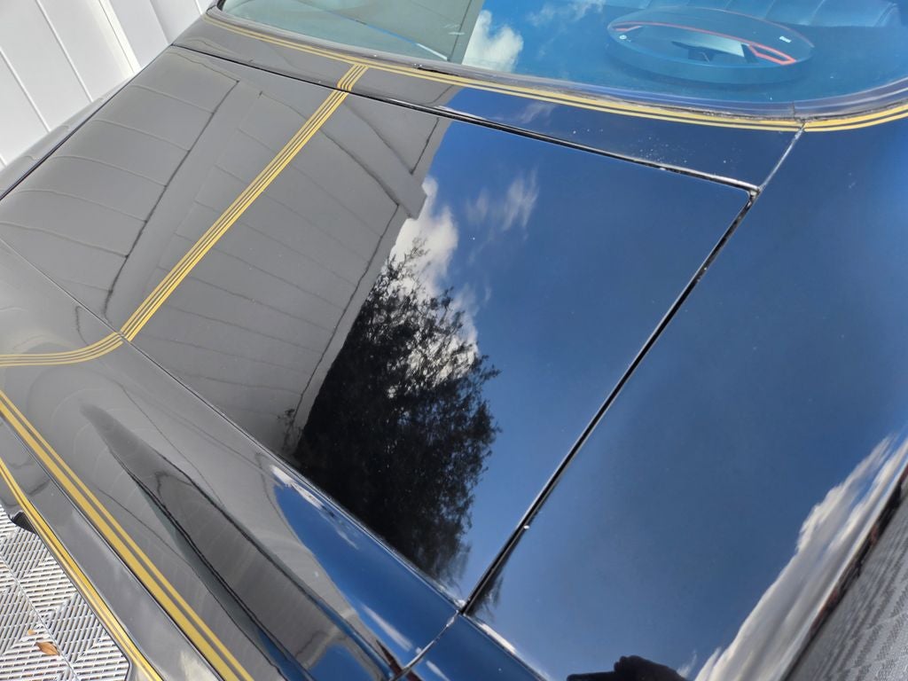 1981 Pontiac Firebird Formula