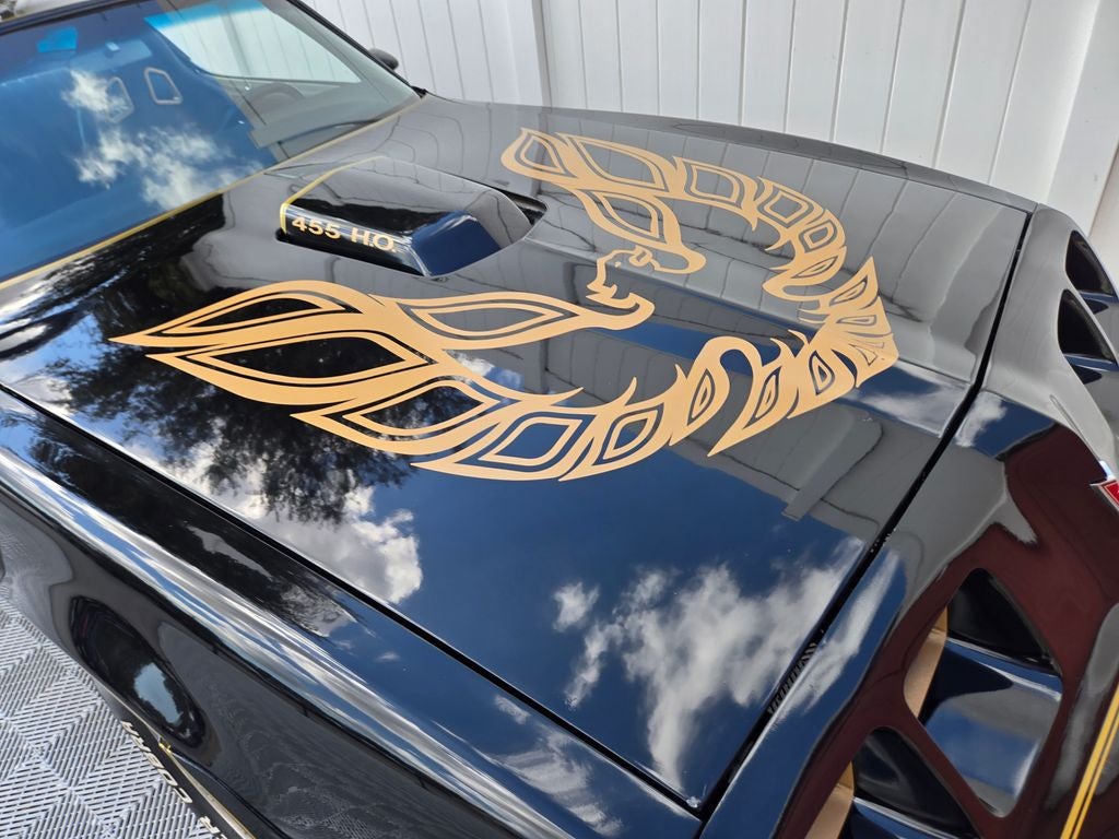 1981 Pontiac Firebird Formula