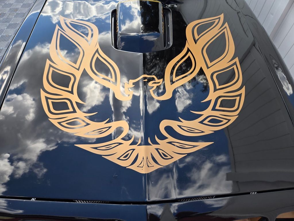 1981 Pontiac Firebird Formula