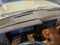 1986 GMC S15 Base