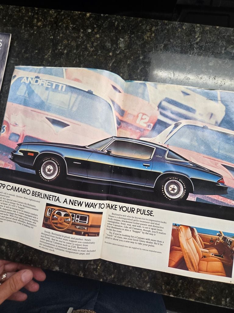 1979 Chevrolet Camaro Z28