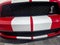 2007 Ford Mustang Shelby GT500