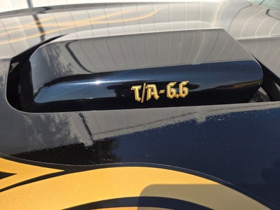 1977 Pontiac Firebird Trans Am