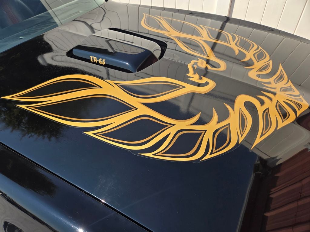1977 Pontiac Firebird Trans Am