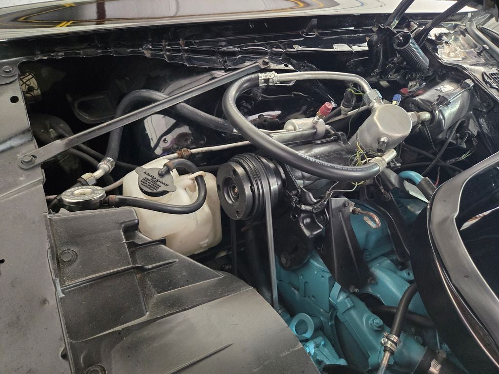 1977 Pontiac Firebird Trans Am