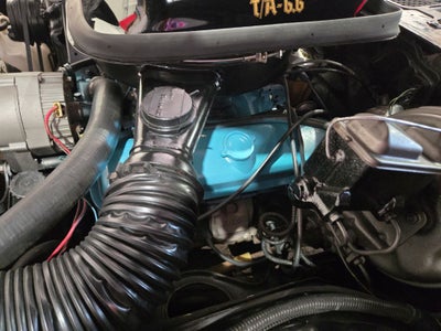1977 Pontiac Firebird Trans Am