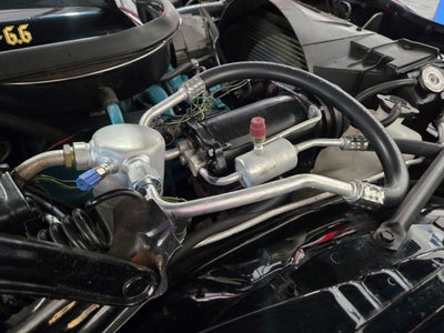 1977 Pontiac Firebird Trans Am