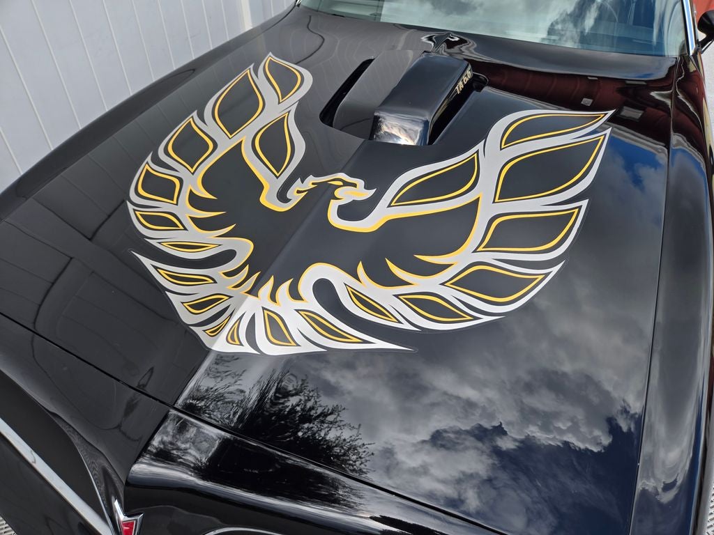 1978 Pontiac Firebird Trans Am