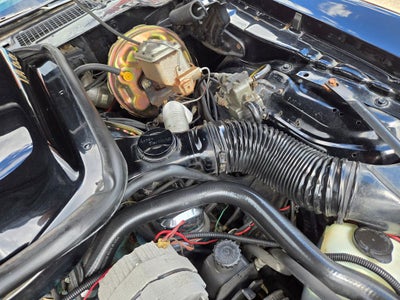 1978 Pontiac Firebird Trans Am