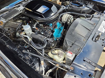 1978 Pontiac Firebird Trans Am