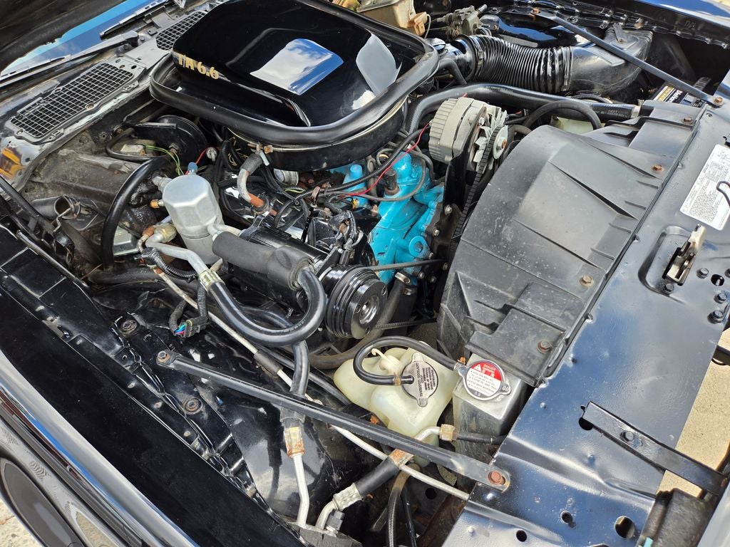 1978 Pontiac Firebird Trans Am