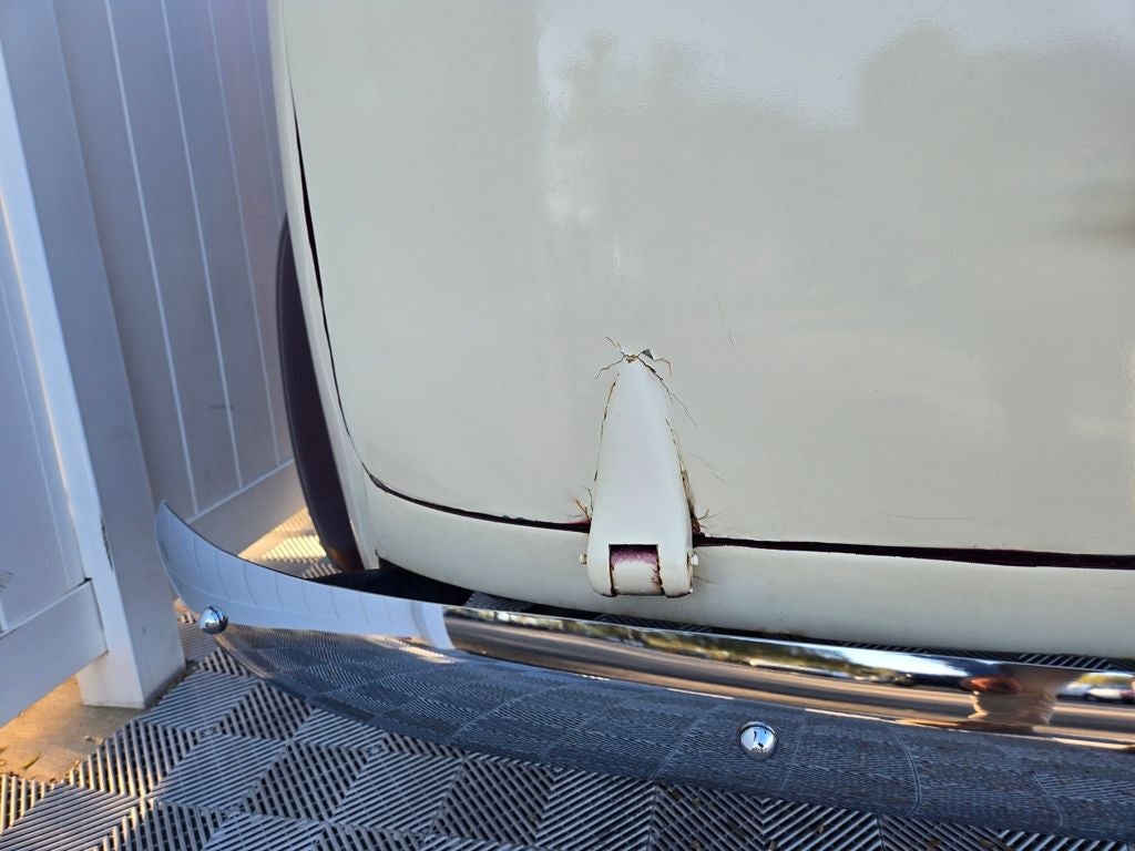 1953 Chevrolet 3100 Canopy Express